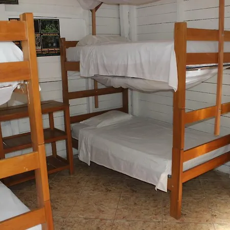 Tambopata Hostel Puerto Maldonado Exterior photo