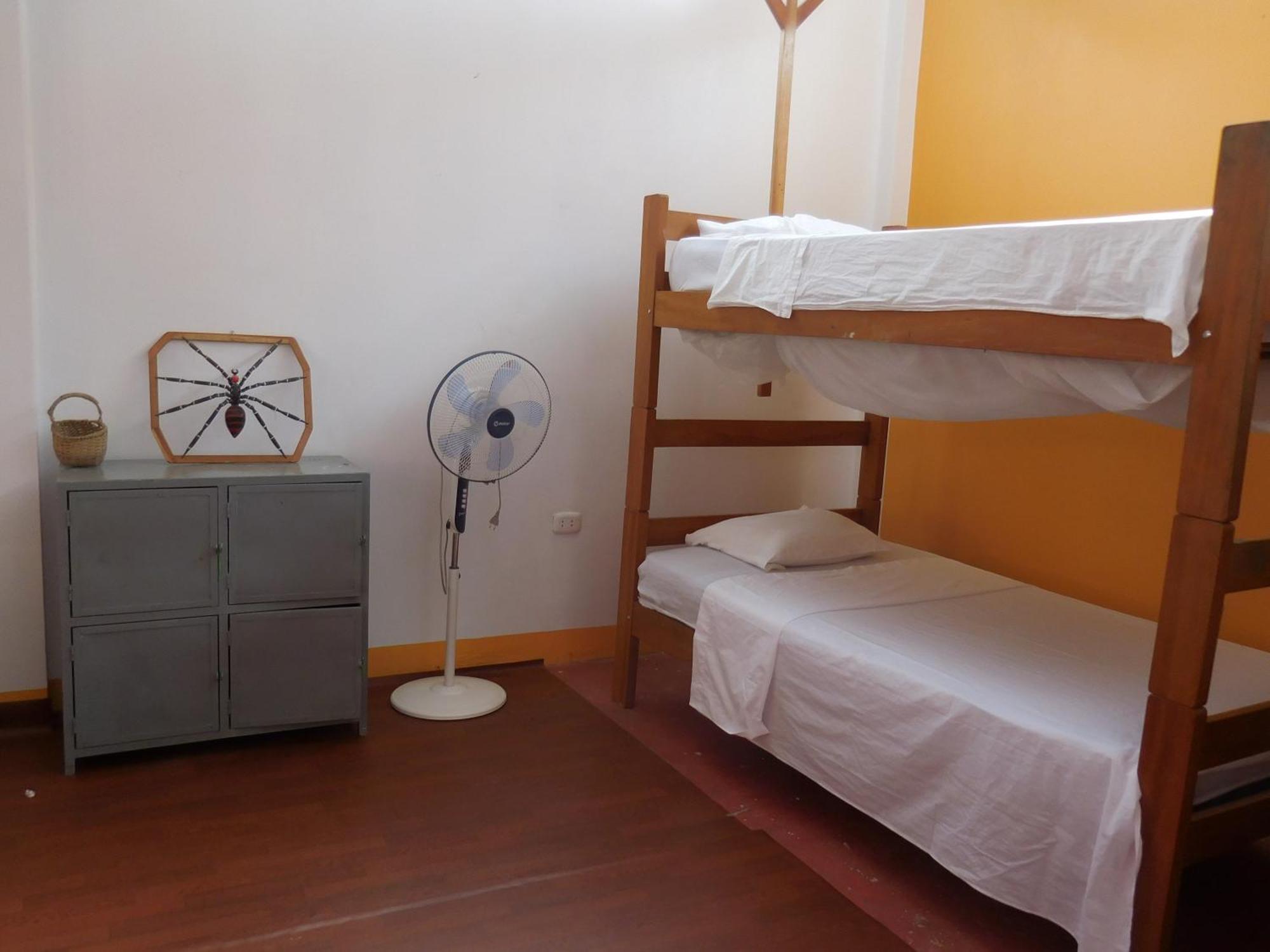 Bed and breakfast Tambopata